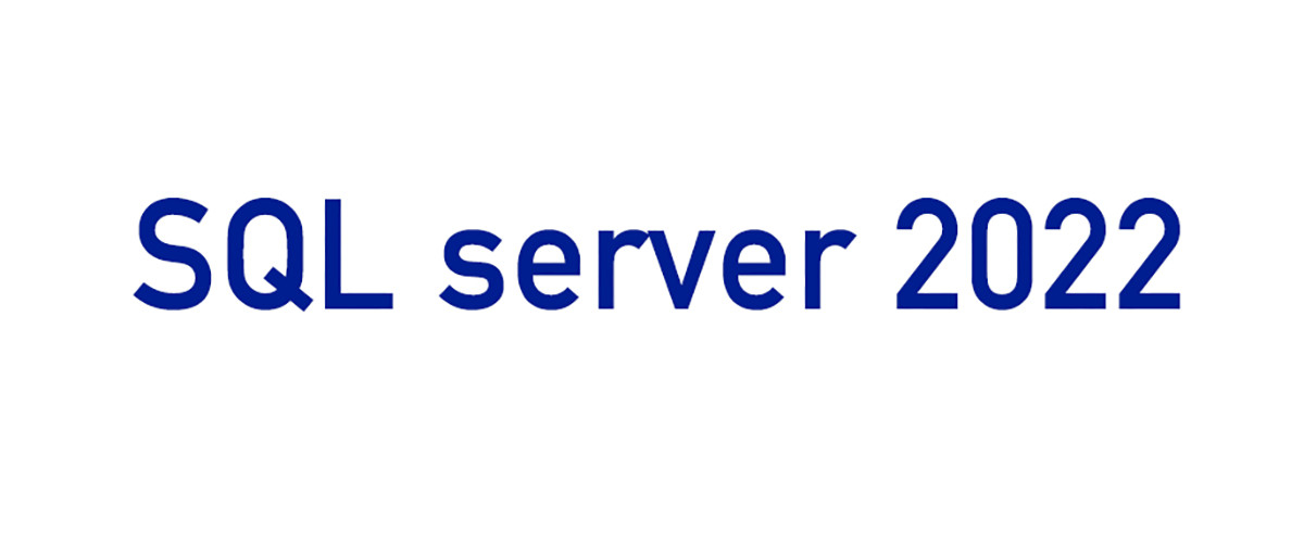 China best Sql 2022 std on sales