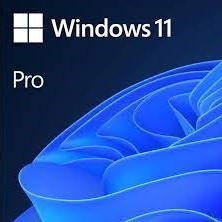 Windows 11 Pro Oem Retail 1User Activation Key