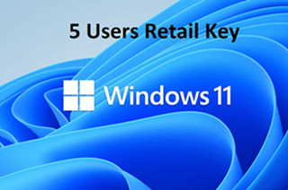 Windows 10/11 Home Edition Retail 5 User Activation Code No Mac Long Warranty