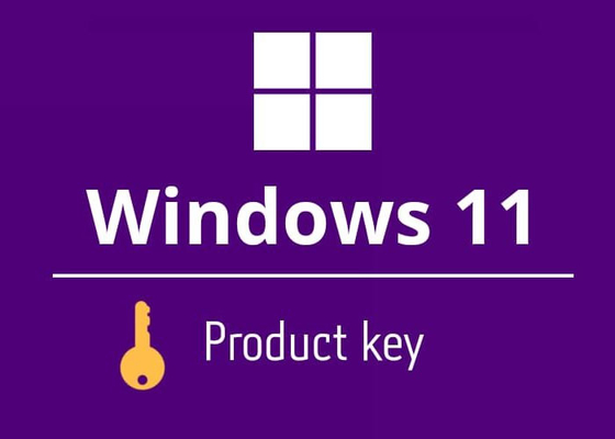 Muliti Language  Windows 11 Product Key Home Email Delivery