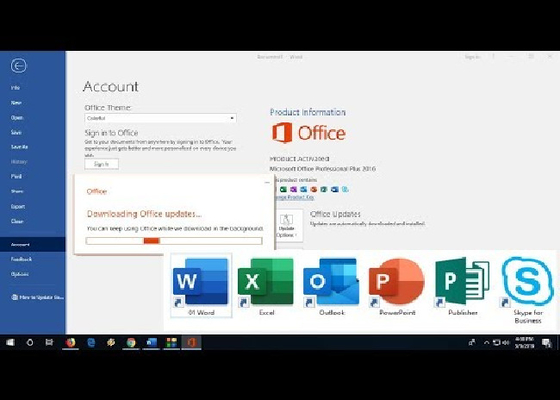 Office 2016 Professional Plus Retail Key Global Lifetime Licence Instant Delivery