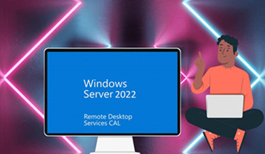 Windows Server 2022 Remote Desktop Service 50 User Connections Cal License