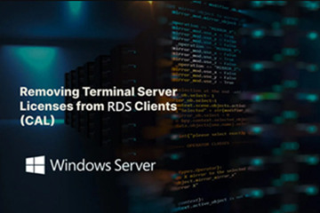 Windows Server 2022 Remote Desktop Service 50 User Connections Cal License