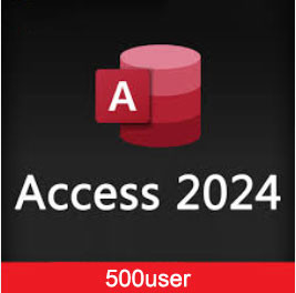 Access 2024 Mak 500 User 90 Days Warranty