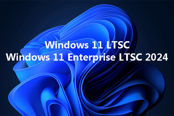 Windows 11 IoT Enterprise LTSC 2024 20 User Digital License Key 30 Days Warranty