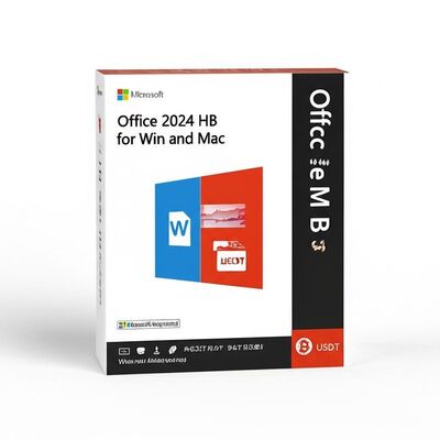 Word included office 2024 hb for win and mac featuring usdt payment mode tailored to professional business environments