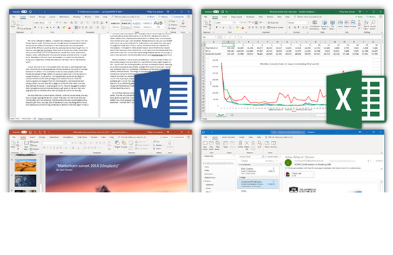 X32 X64 Office 2019 Professional Activation Key Email  Product
