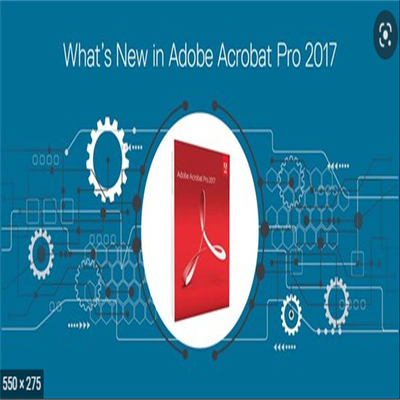 Windows Full Version Xi Pro Serial Number 2017 Product Key