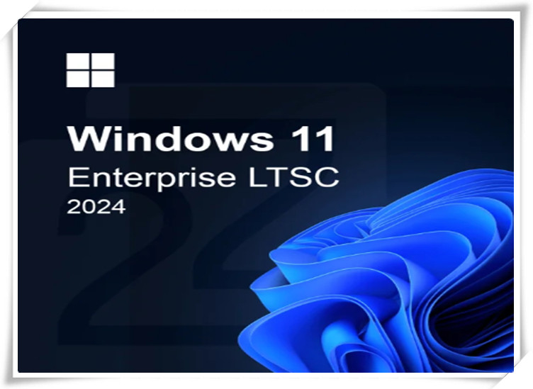 Software Windows 11 Enterprise LTSC 2024  Mak Code For 20user  Product License Key
