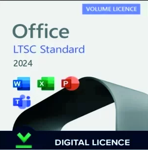 Office 2024 Standard Mak License