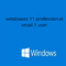 Windows 11 Professional 1 User Key For Small Businesses Enhanced