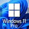 Windows 11 Professional 1 User Key For Small Businesses Enhanced