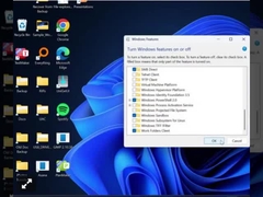 Windows 11 Professional key