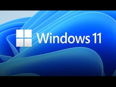 Windows 10/11 Professional Product Key 1 PC Retail License 