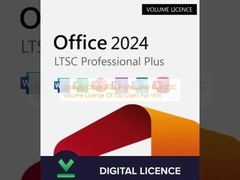 Globally Office 2024 Professional Plus LTSC Volume License Of 100 Users For Win